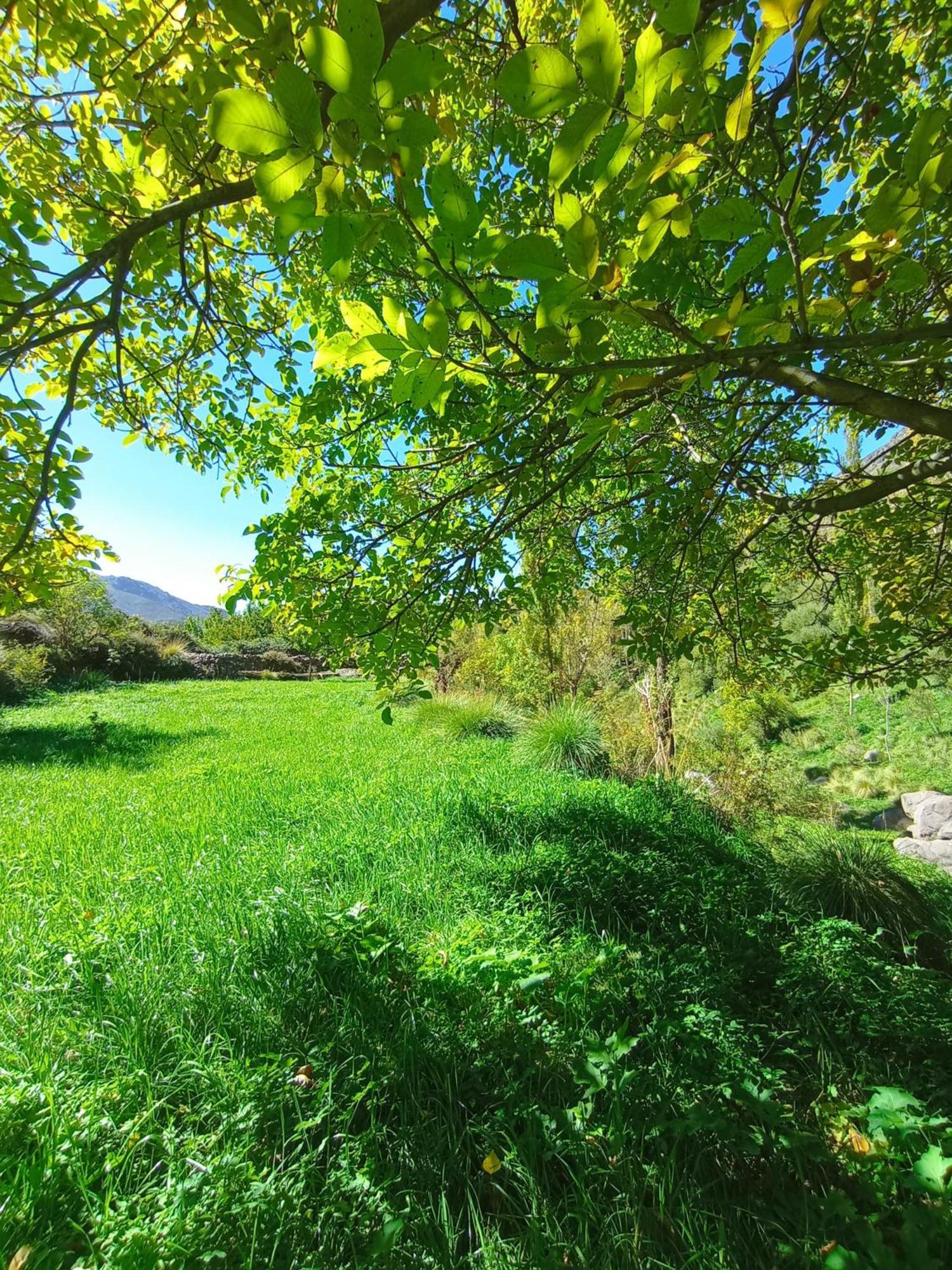 Gite Ogog Tacheddirt Exterior foto